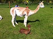 Iona with Twiglet