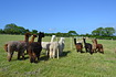 Group photo