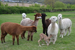 DSC_0640.JPG DSC_0640.JPG