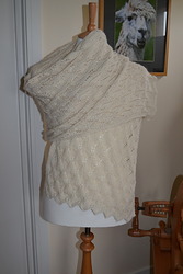 Cream Pashmina Cream Pashmina