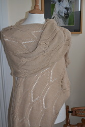 Biscuit Pashmina Biscuit Pashmina