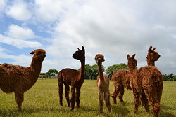 DSC_0323.JPG DSC_0323.JPG