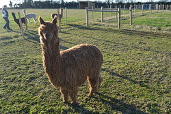 DSC_0354.JPG DSC_0354.JPG