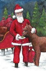 Santa with Alpaca