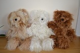 Suri Teddy Bear
