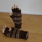 Fingerless Gloves
