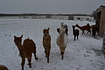 Snow in March