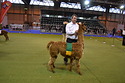Kiki Reserve Champion