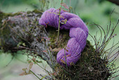 Violet