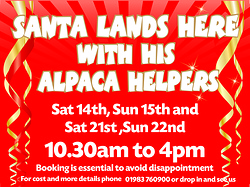 Santa Santa