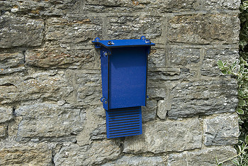 Bat box Bat box