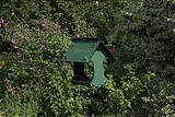 Bird Feeder