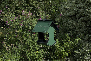 Bird Feeder Bird Feeder