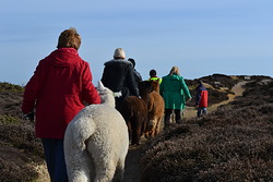 DSC_0339.JPG DSC_0339.JPG