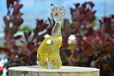 Clear & Yellow Alpaca