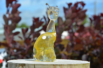 Clear & Yellow Alpaca