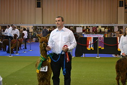 Kimi - Reserve Champion Kimi - Reserve Champion