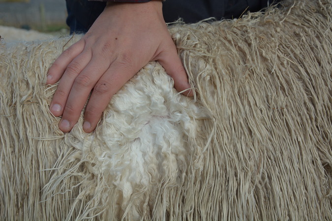 Viola Fleece