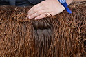 Velvet Fleece
