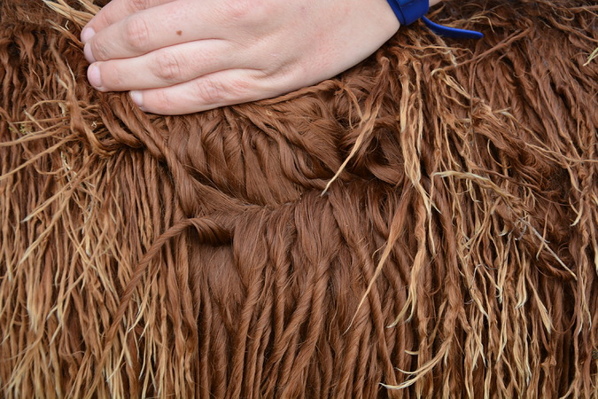 Verity Fleece