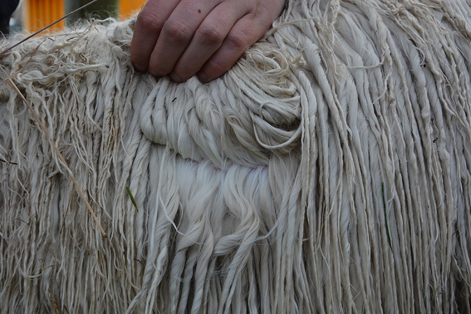 Victoria Fleece