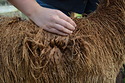 Vectis Fleece