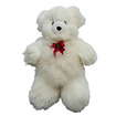 White Teddy Bear