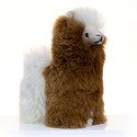 Mixed Colour Alpaca