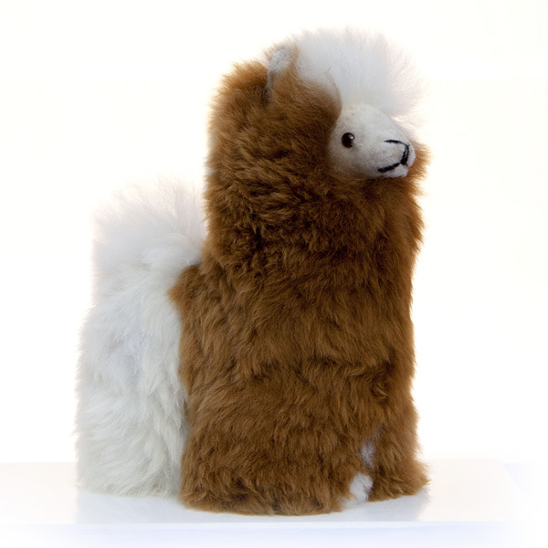Mixed Colour Alpaca
