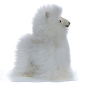White Alpaca