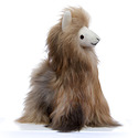 Brown Alpaca